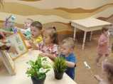 Летний детский сад КоалаМама с разовыми посещениями(1,2-7 л) / Санкт-Петербург