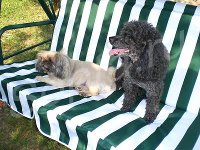 ��������� ��������� ����