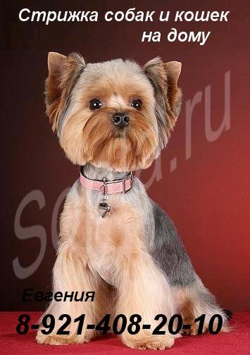 ������� ����� � ����� �� ����. ����� � ����� �����