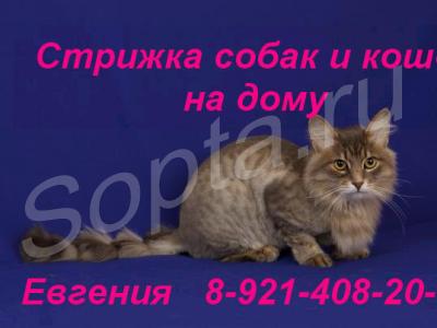 ������� ����� � ����� �� ����. ����� � ����� �����