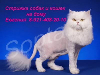 ������� ����� � ����� �� ����. ����� � ����� �����