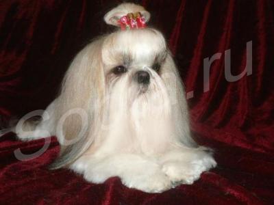 �������, �������� ����� � ����� �� ����