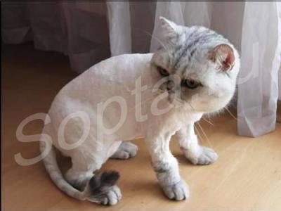 �������, �������� ����� � ����� �� ����