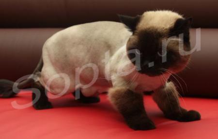 ���������������� �������, �������� ����� � �����