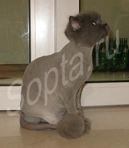 ������� ����� � �����, ���������� � ��������