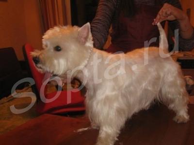 ������� ����� � �����, ���������� � ��������