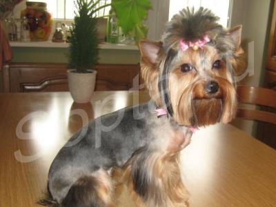 ������� ����� � ����� �� ����.