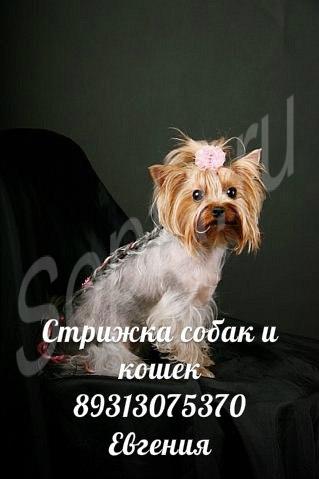 ���������������� ������� ����� � ����� �� ����.