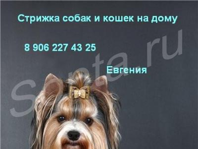 ���������������� ������� ����� � ����� �� ����.