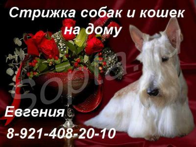 ���������������� ������� ����� � ����� �� ����.