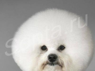 ���������������� ������� ����� � ����� �� ����.