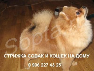 ���������������� ������� ����� � ����� �� ����.