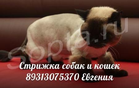 ���������������� ������� ����� � ����� �� ����.