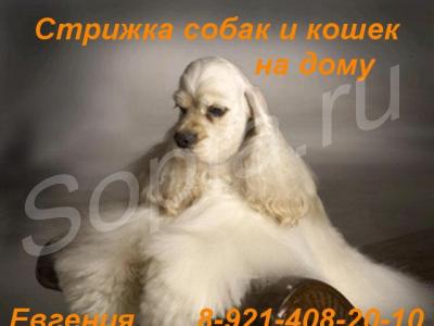 �������, �������� ����� � �����, ����� �� ���.