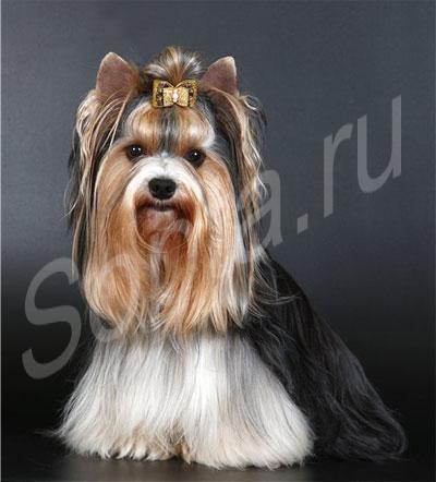 ������� ����� � ����� �� ����.