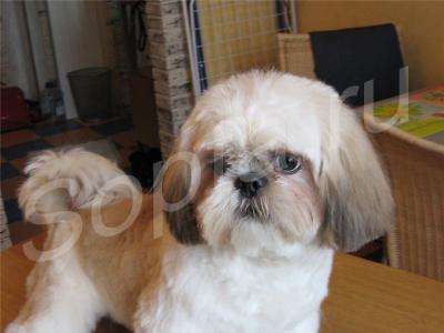 ������� ����� � ����� �� ����.