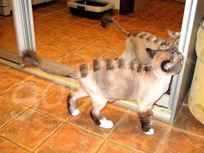 ������� ����� � ����� �� ����.