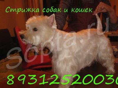 ������� ����� � ����� �� ����.