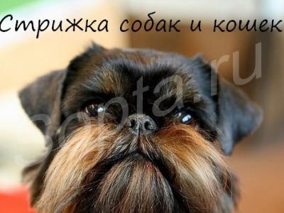 ������� ����� � ����� �� ����.