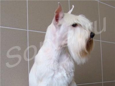 ���������������� ������� ����� � ����� �� ����.