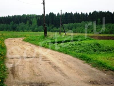 Деревня гатчина. Деревня Тихковицы. Деревня Тихковицы Гатчинский район. Деревня Тихковицы фото. Тихковицы Гатчина.