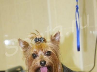 ������� ����� � ����� �� ����.