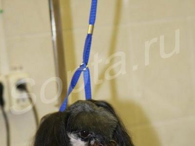 ������� ����� � ����� �� ����.