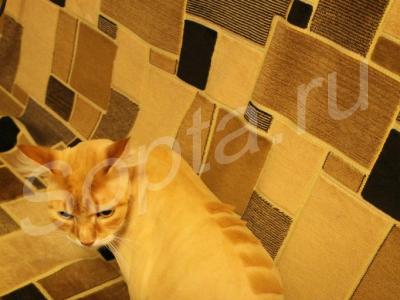 ������� ����� � ����� �� ����.