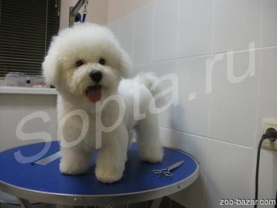 ������� ����� � ����� �� ����.