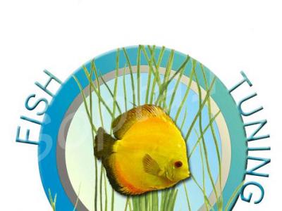 ��������� � ������������ ����������