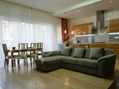 ������ ���� ����� ����������