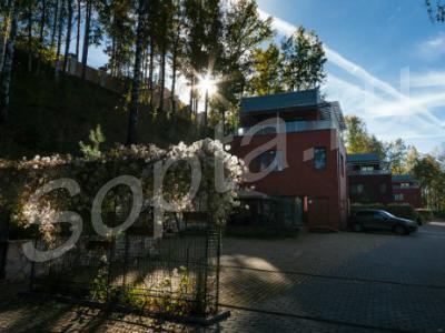 ������ ���� ����� ����������