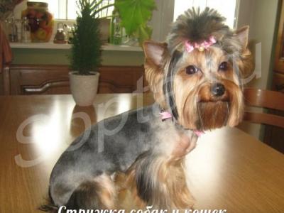 ������� ����� � ����� ����� �����, ����� �� ���