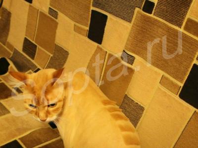 ������� ����� � ����� ����� �����, ����� �� ���