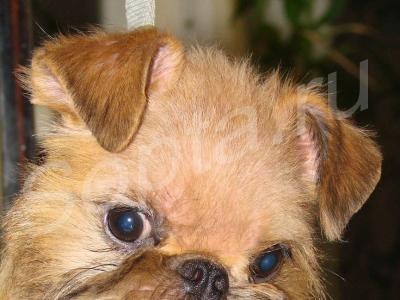 ������� ����� � ����� ����� �����, ����� �� ���