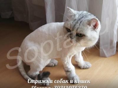 ������� ����� � ����� ����� �����, ����� �� ���