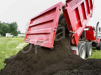 ����� �������� �������� �������