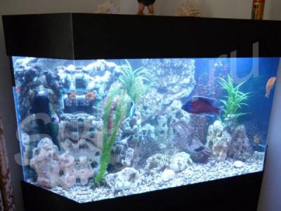 ������������ ���������� � �����������.