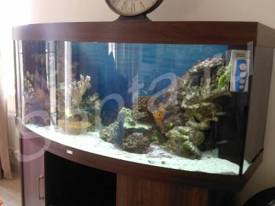 ������������ ���������� � �����������.