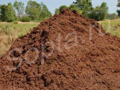 ������� ����� � ���������