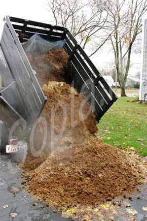 ������� ����� � ���������