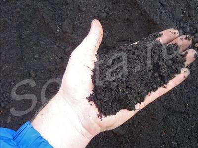 ���� �������� � ������ � �������