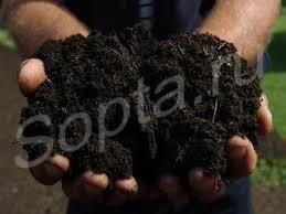 ���� �������� � ������ � �������