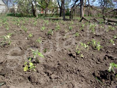 ����� ������������ � ���������