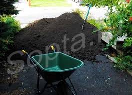 ����� ������������ � ���������