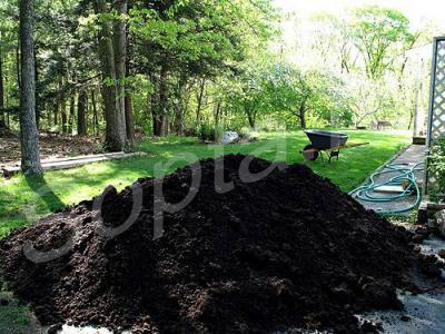 ����� ������������ � ���������