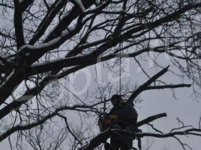 ������-�������� ��������� �����������. ���������� 