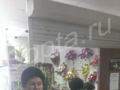 ������ ���� �������� �����