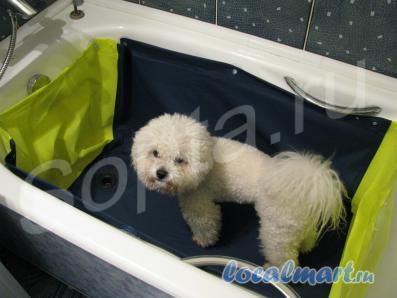 ����������� ����� ����� �� ��������� ����.