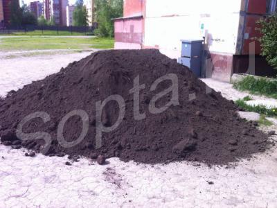 ������ �����  ����������� �� ��� �������